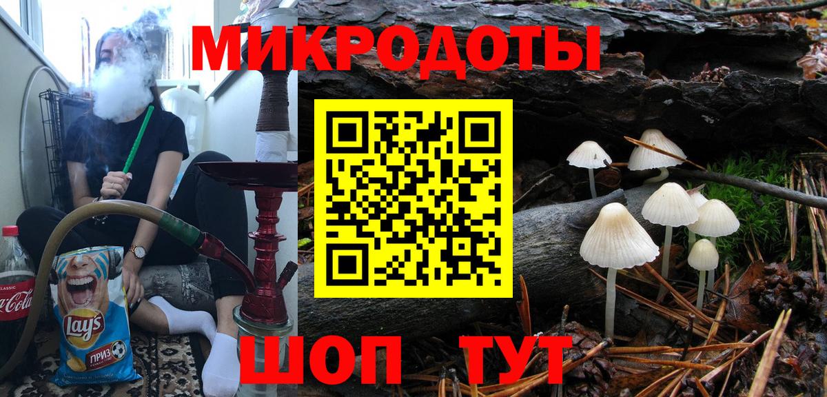 Псилоцибиновые грибы Psilocybe Ирбит
